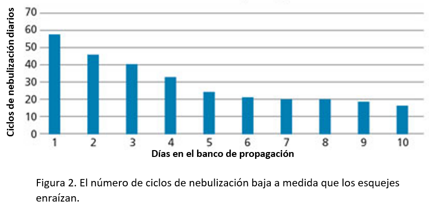 Figura 2